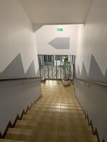Una escalera con paredes decoradas y una planta en maceta al pie.