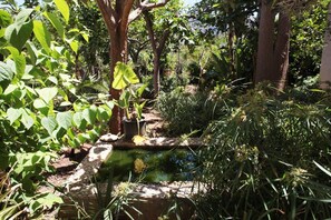 Garden - I tre Golfi Itaca (San Vito Lo Capo)
