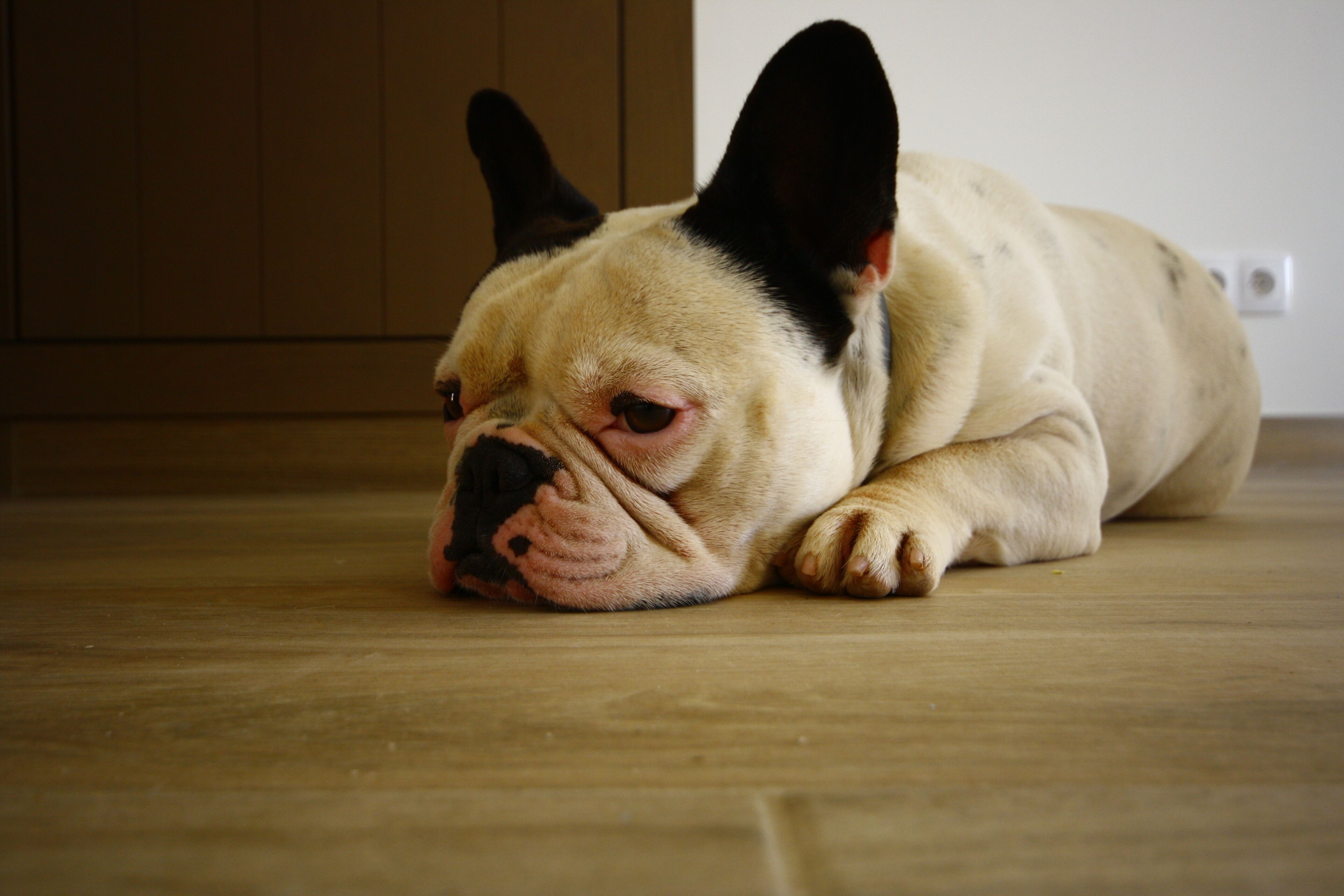 Photo - Quinta do Mocho Turismo Rural