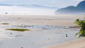 Un paysage côtier comprenant une plage, des zones marécageuses et des montagnes lointaines partiellement masquées par le brouillard.