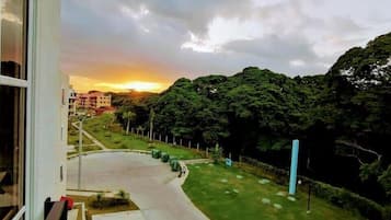 Taman