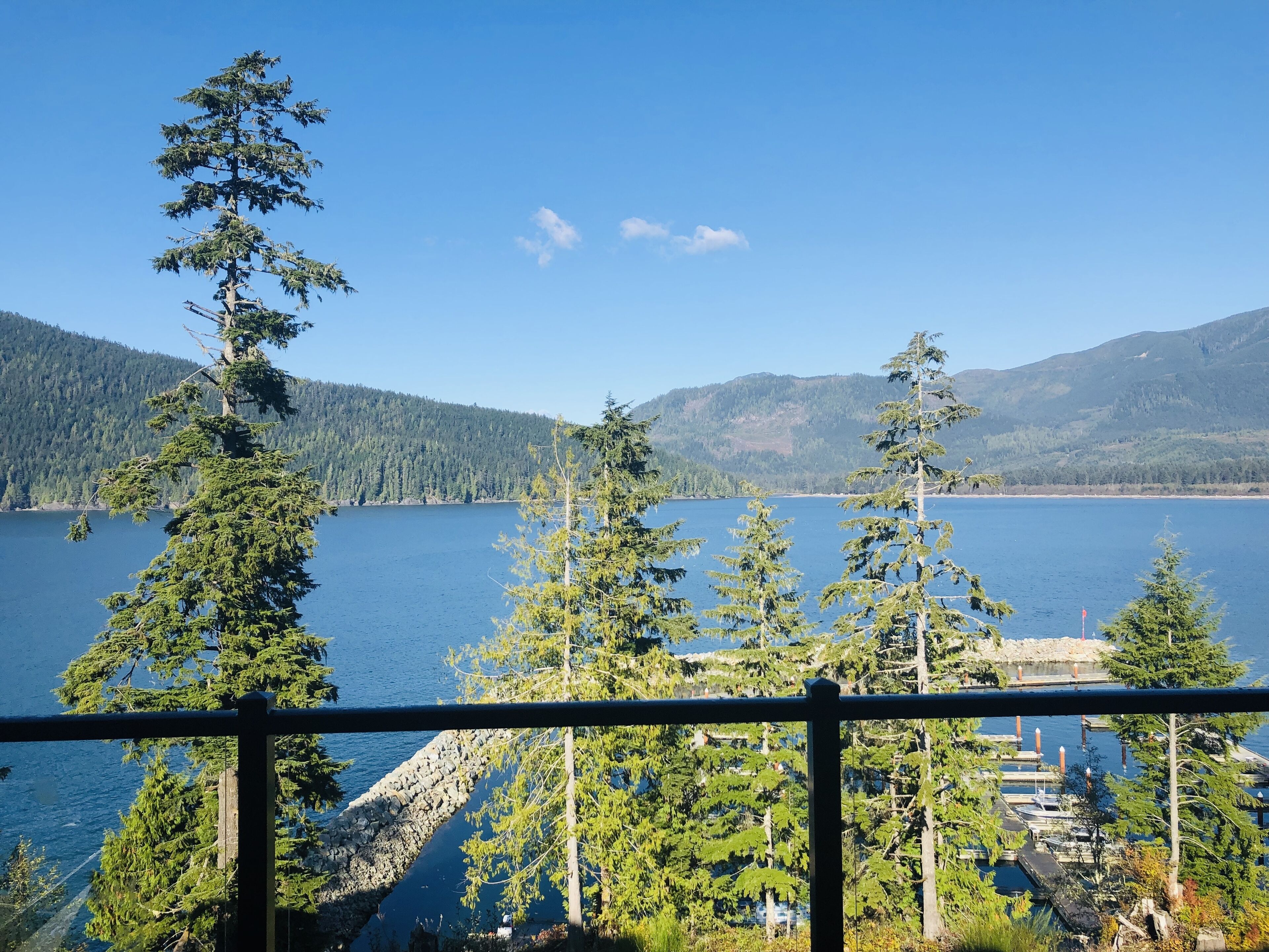 A lake with surrounding trees and a dock.