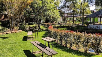Jardín