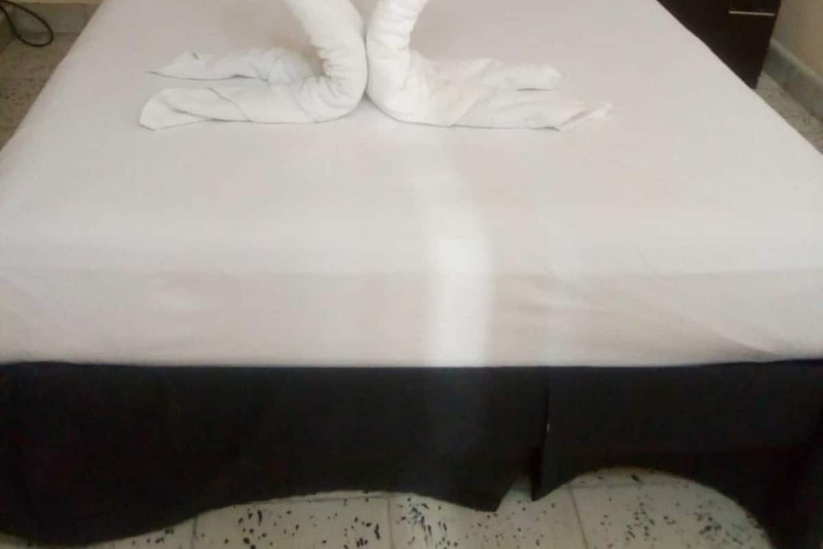 Iron/ironing board (on request), WiFi (free), bed sheets