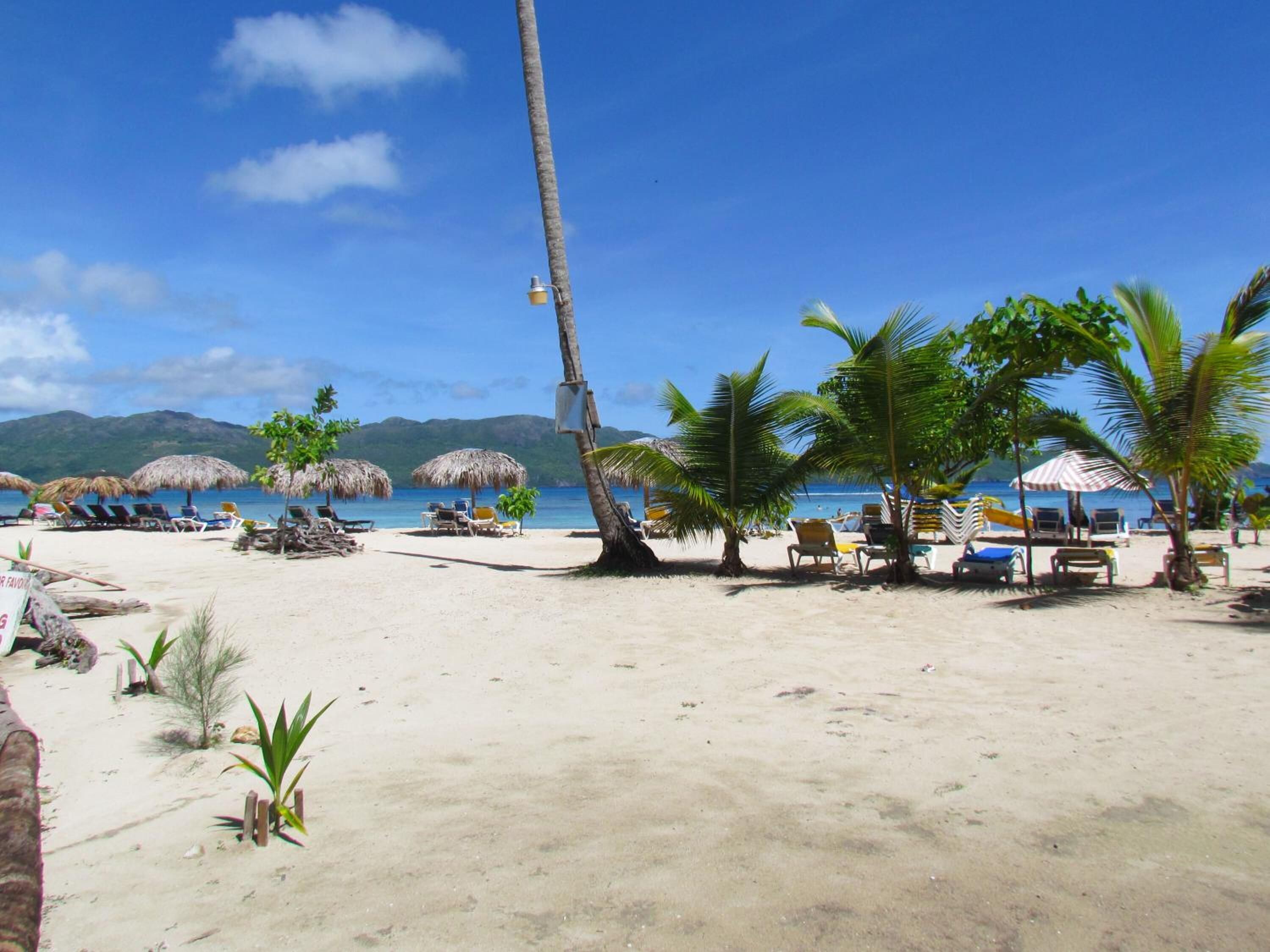 Ein Strand mit Liegestühlen, Sonnenschirmen und Palmen.