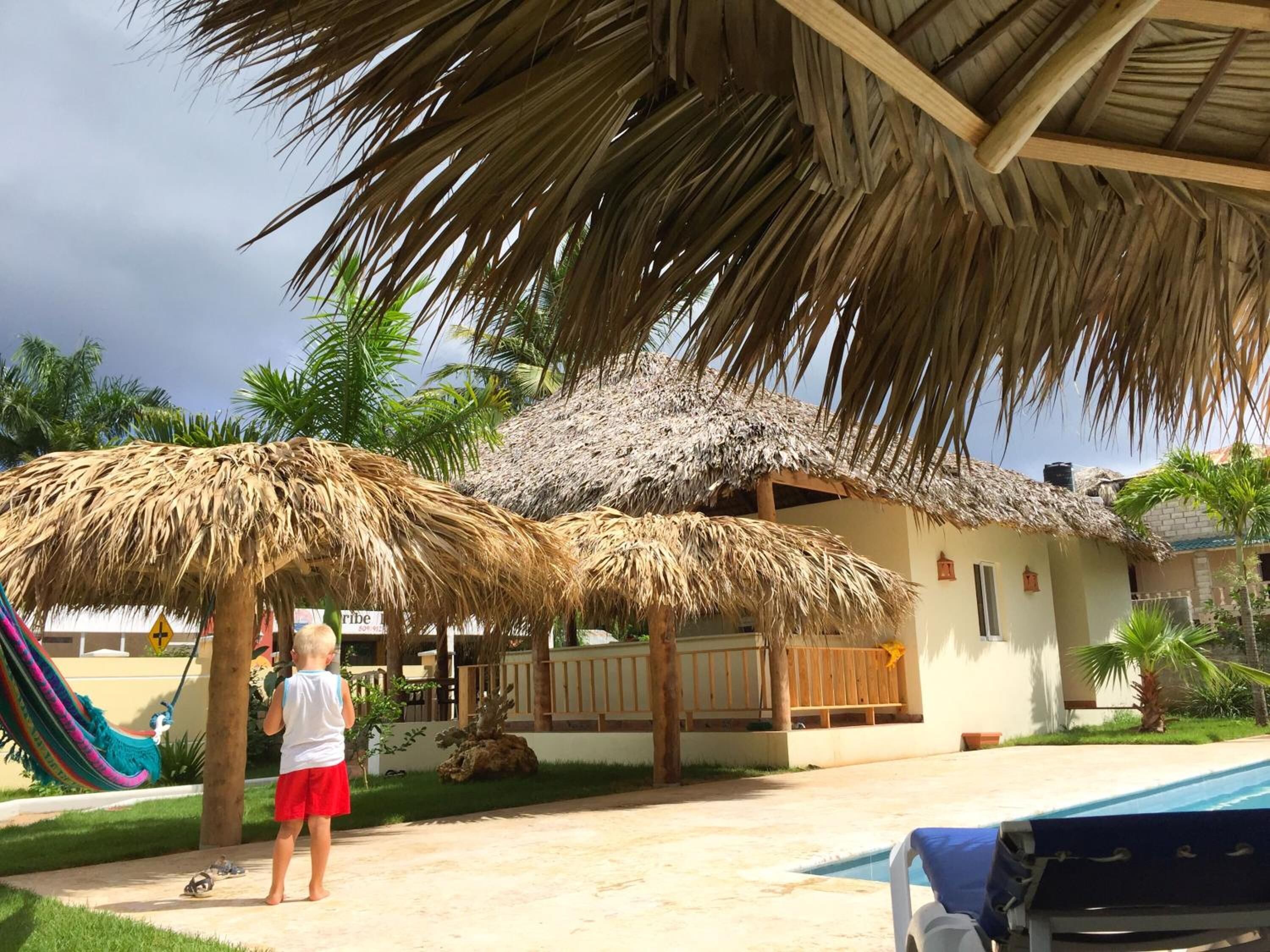A house with thatched roofs, a pool, and a hammock.