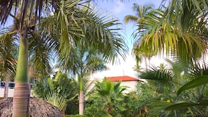 Taman