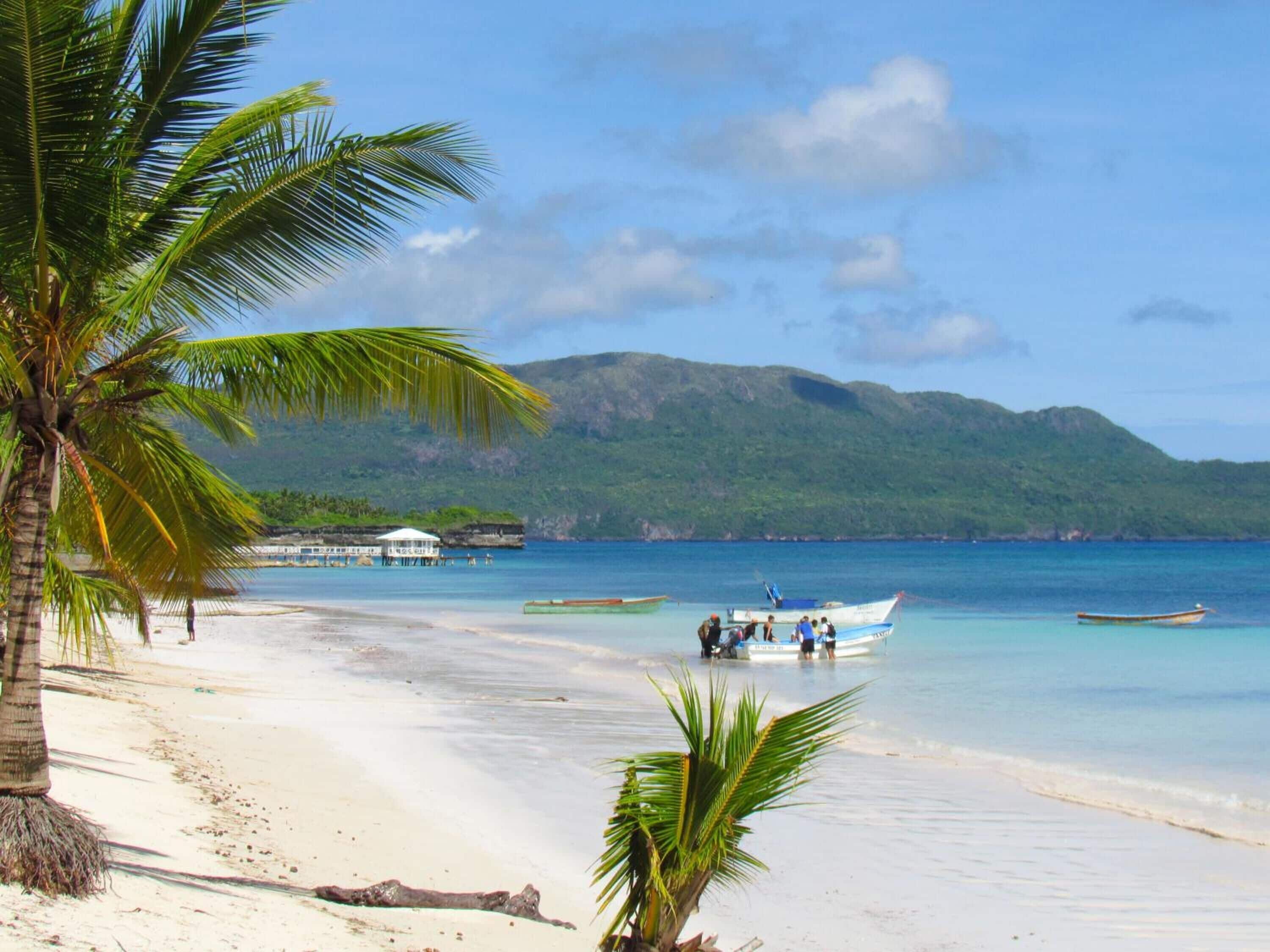 A beach with a white sand shore, palm trees, and a boat docked near the water.