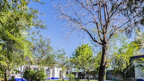 Jardim