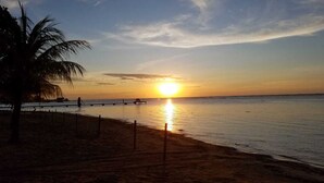 Una playa con un atardecer, una palmera y un muelle que se adentra en el agua.