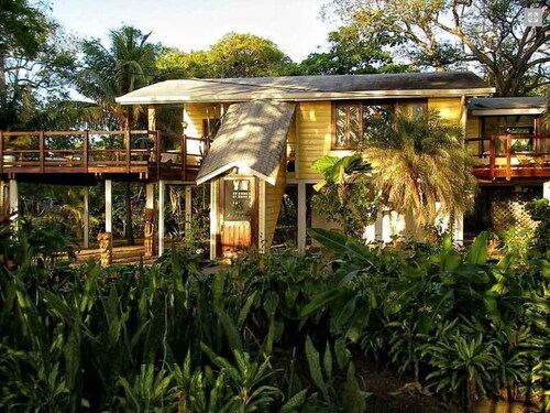 The Mango House 2+2 Tree House A/C 2 Large Decks STEPS 2 The BEACH