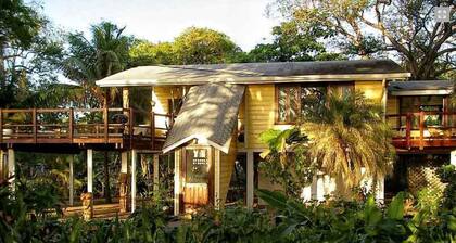The Mango House 2+2 Tree House A/C 2 Large Decks STEPS 2 The BEACH