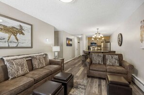 Smart TV, fireplace, books