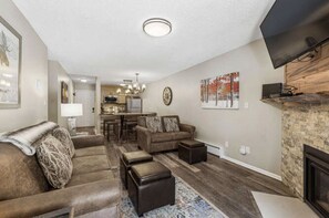 Smart TV, fireplace, books