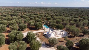 Un olivier avec un bâtiment blanc doté d’une piscine et d’une structure conique.