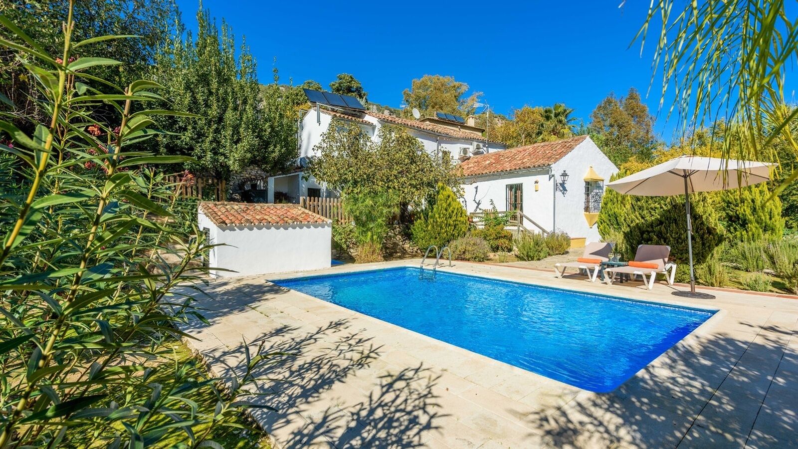 A swimming pool with a tiled deck, surrounded by lush greenery and white buildings with red-tiled roofs.