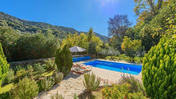 Une piscine bordée d’un chemin en pierre, entourée d’une végétation luxuriante et d’arbres.