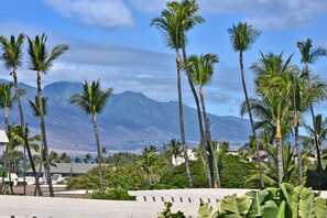 Property grounds - Affordable top floor ocean view Kihei condo, minutes to beaches&restaurants etc. (Kihei)