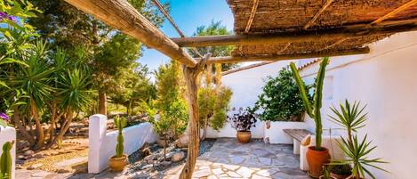 テラス / パティオ