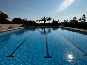 Una piscina cristalina con divisiones para carriles, rodeada de palmeras y un muro de piedra.