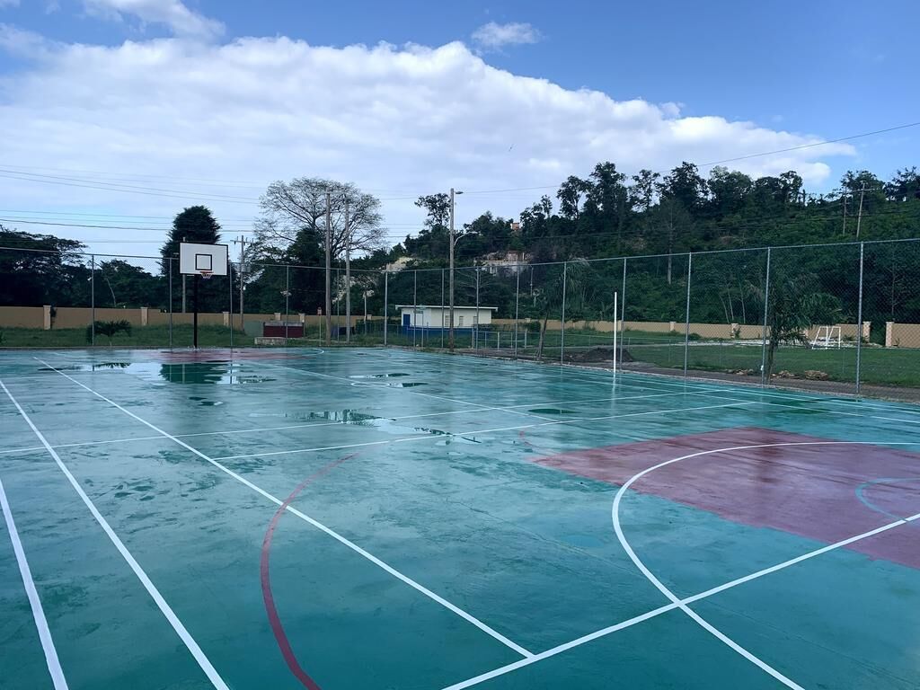 농구 코트