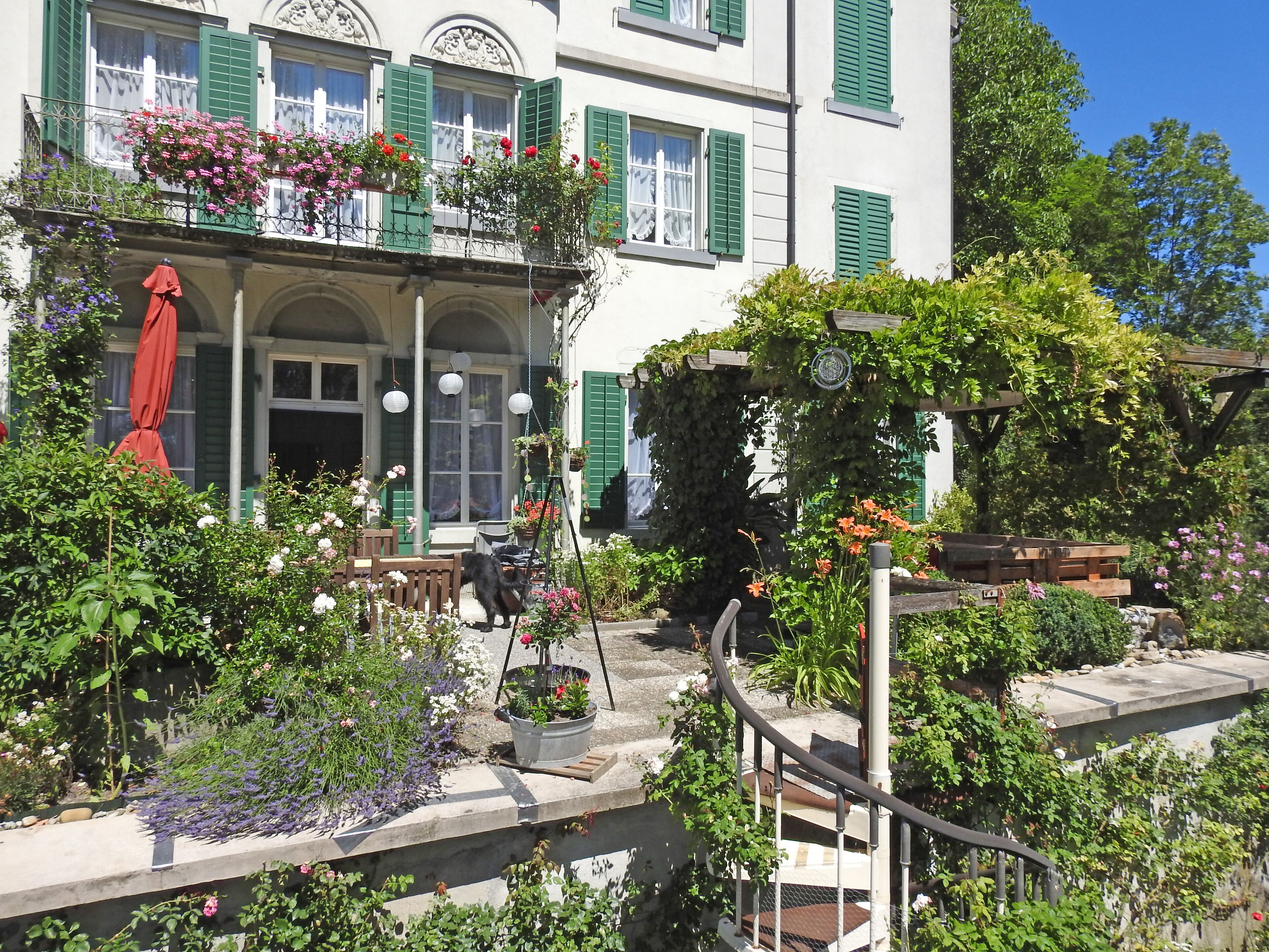 Gartensitzplatz / Terrasse