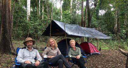 Pacaya Samiria Expeditions E.I.R.L