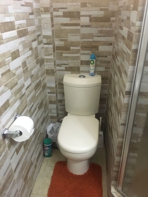 Um banheiro pequeno com vaso sanitário, um rolo de papel higiênico, lixeira e área de chuveiro.