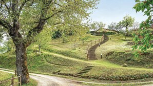 Un sentier de terre mène à un escalier en pierre, dans une zone herbeuse bordée d’arbres.
