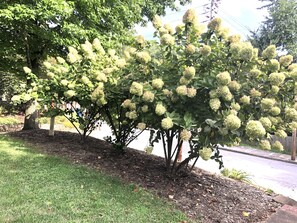 Áreas de la propiedad