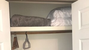 A closet with a hanging rod and a bed at the top. - The Southwest Place 2203 (Ozark)