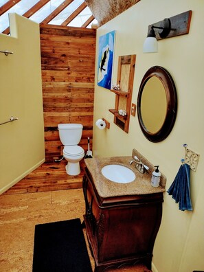 Shower, towels, soap, toilet paper