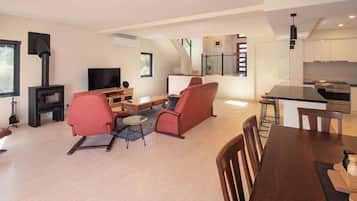 Televisión y chimenea