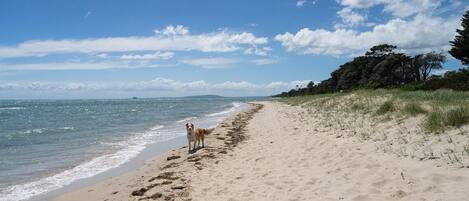 Strand