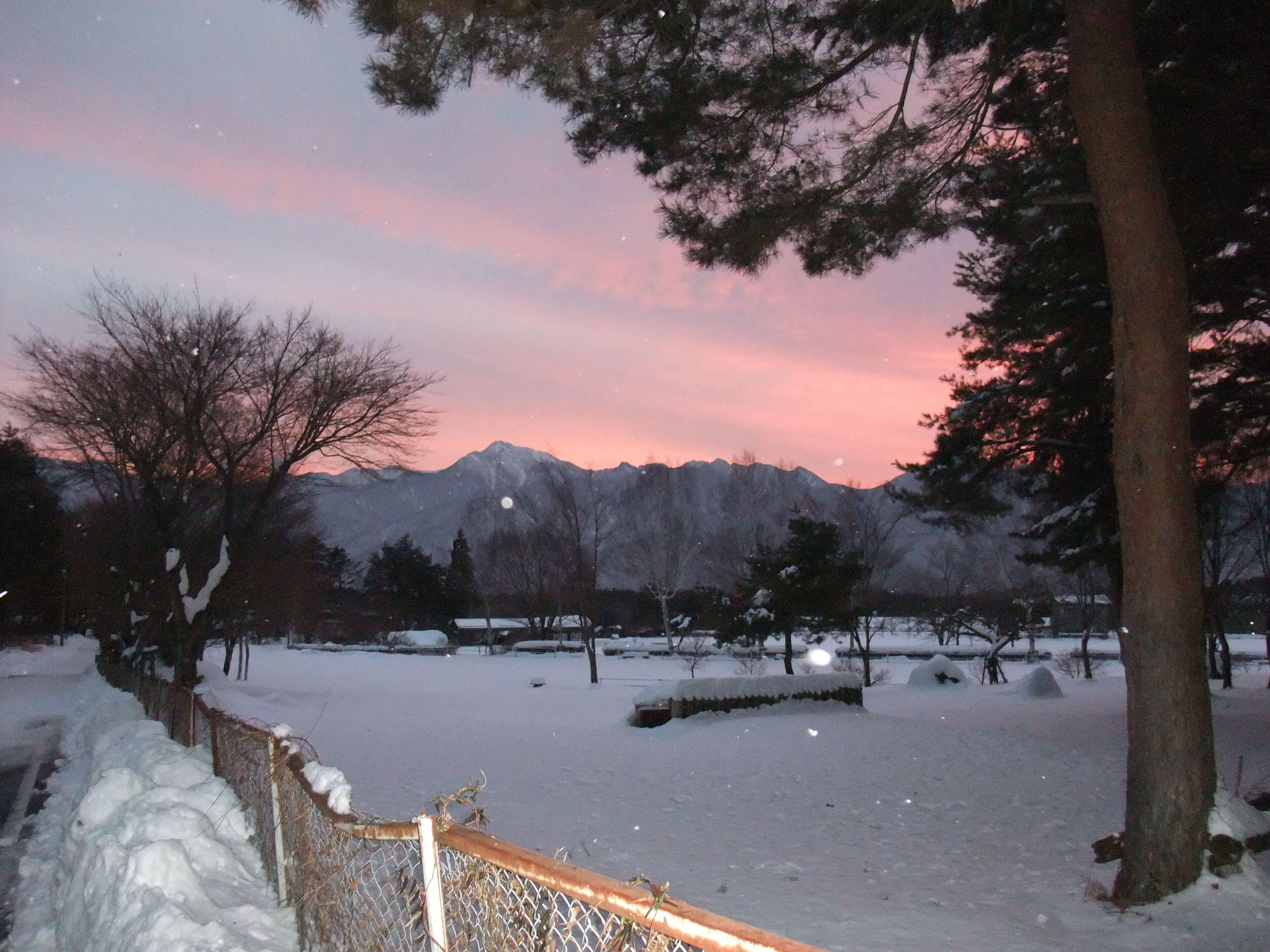A snowy landscape with a fence, trees, and mountains in the background.