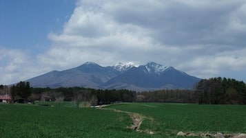 Un champ verdoyant avec une chaîne de montagnes en arrière-plan.