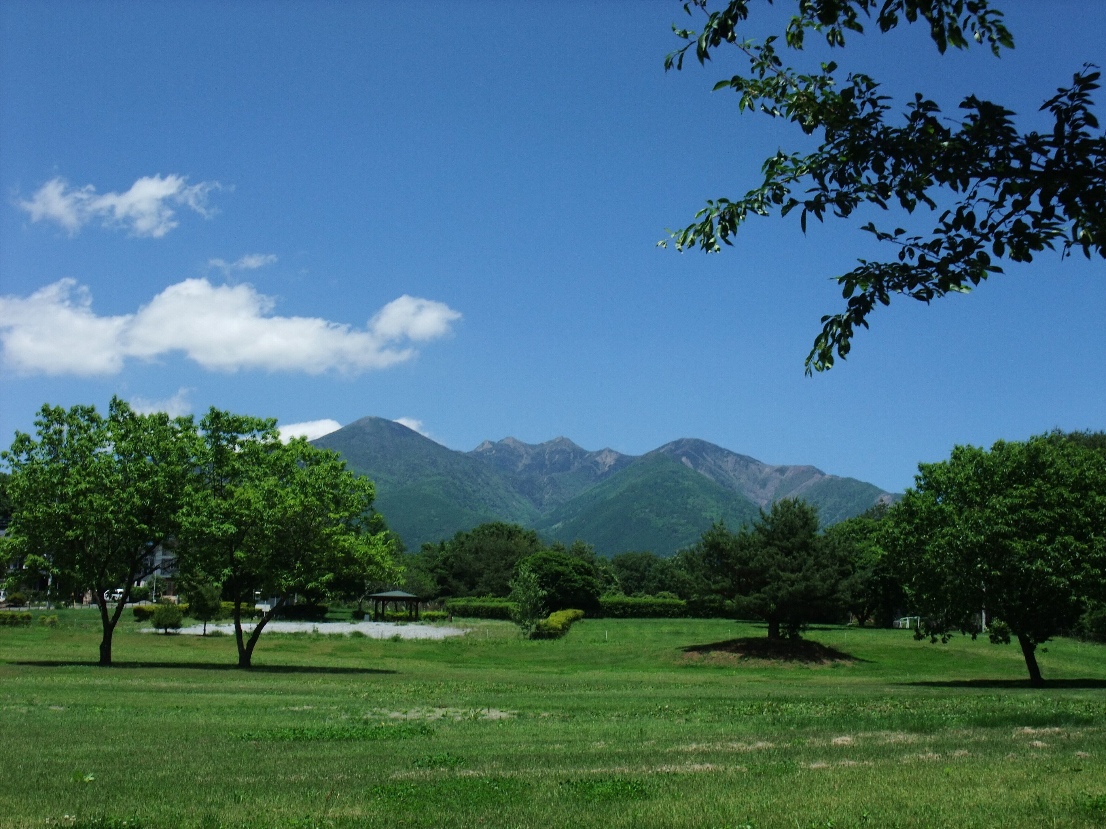 A park with green grass, trees, and mountains in the background.