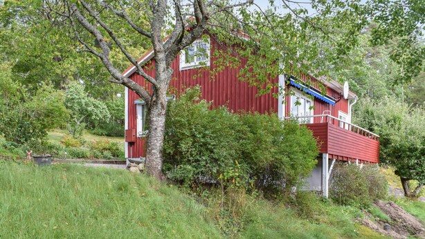 A red house with a white window and a blue roof, surrounded by greenery and a gravel path.