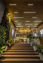 A modern hotel entrance with a wooden staircase, a glass facade, and a vertical garden.