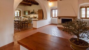An open-plan living and dining area with a wooden ceiling, a fireplace, and a potted plant.