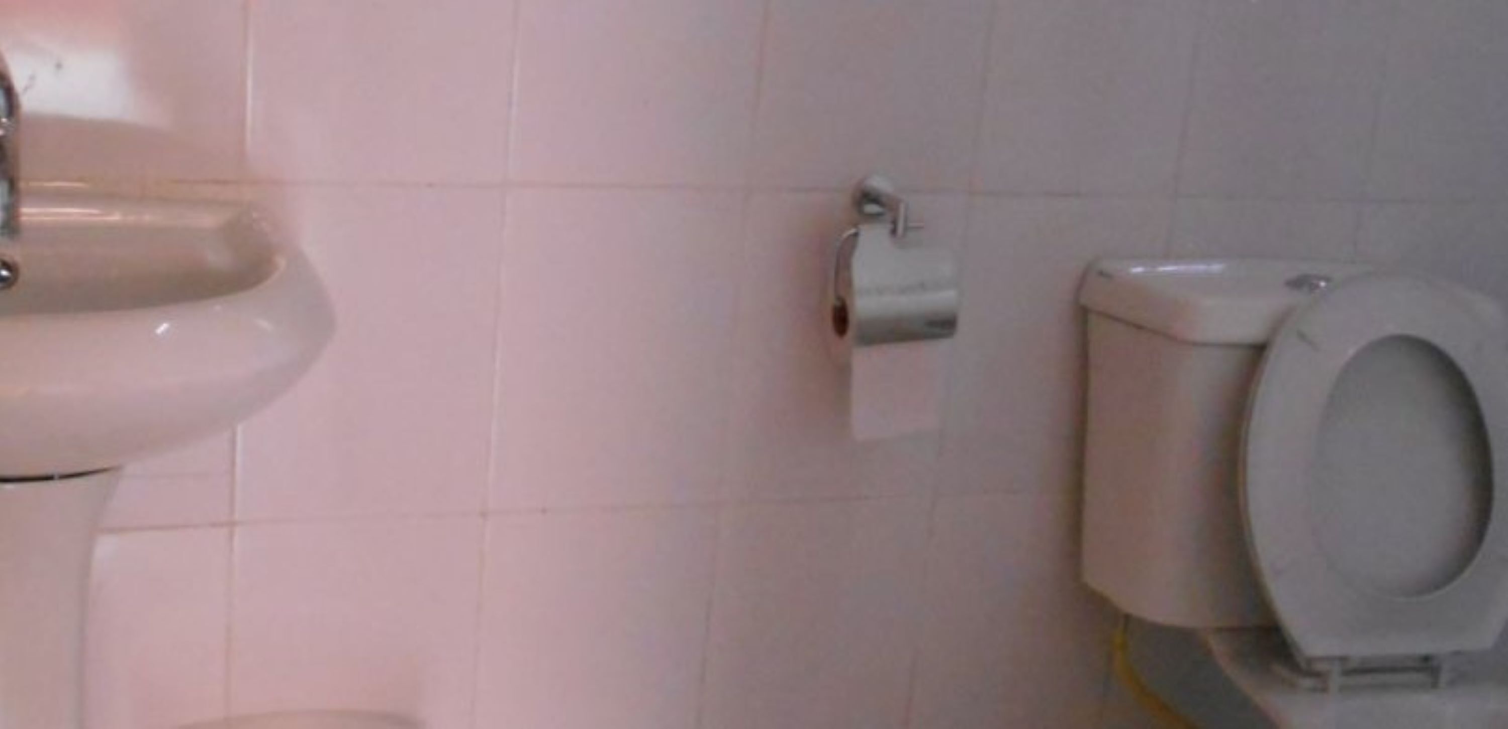 Ein Badezimmer mit Waschbecken und Toilette.