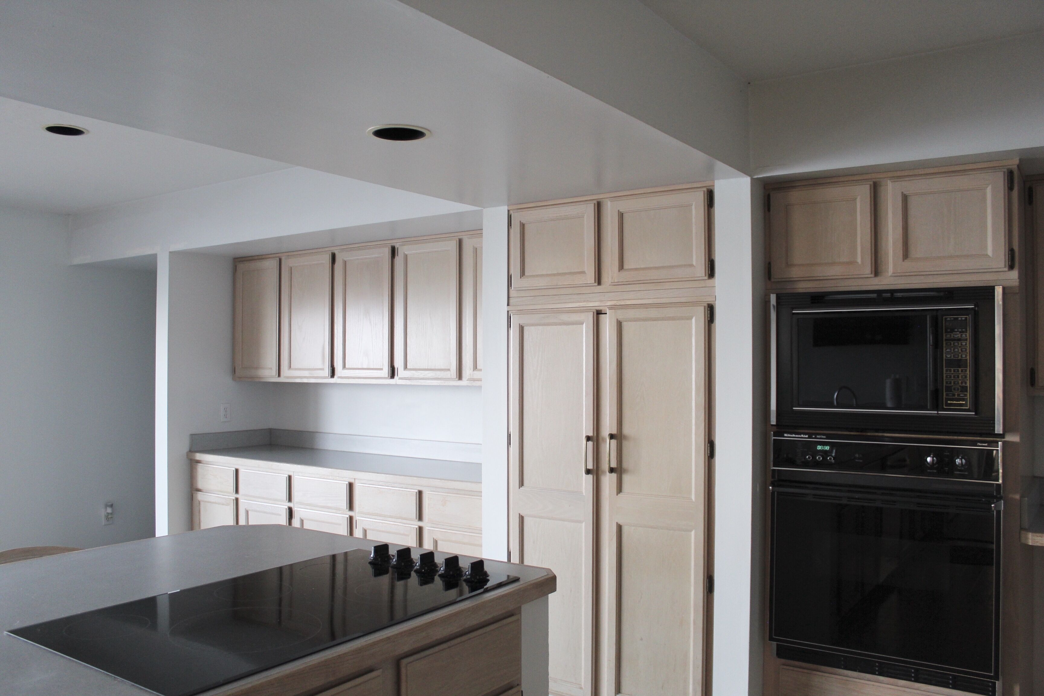 Kitchen pantry, oven, microwave, stove, extra counter/storage space