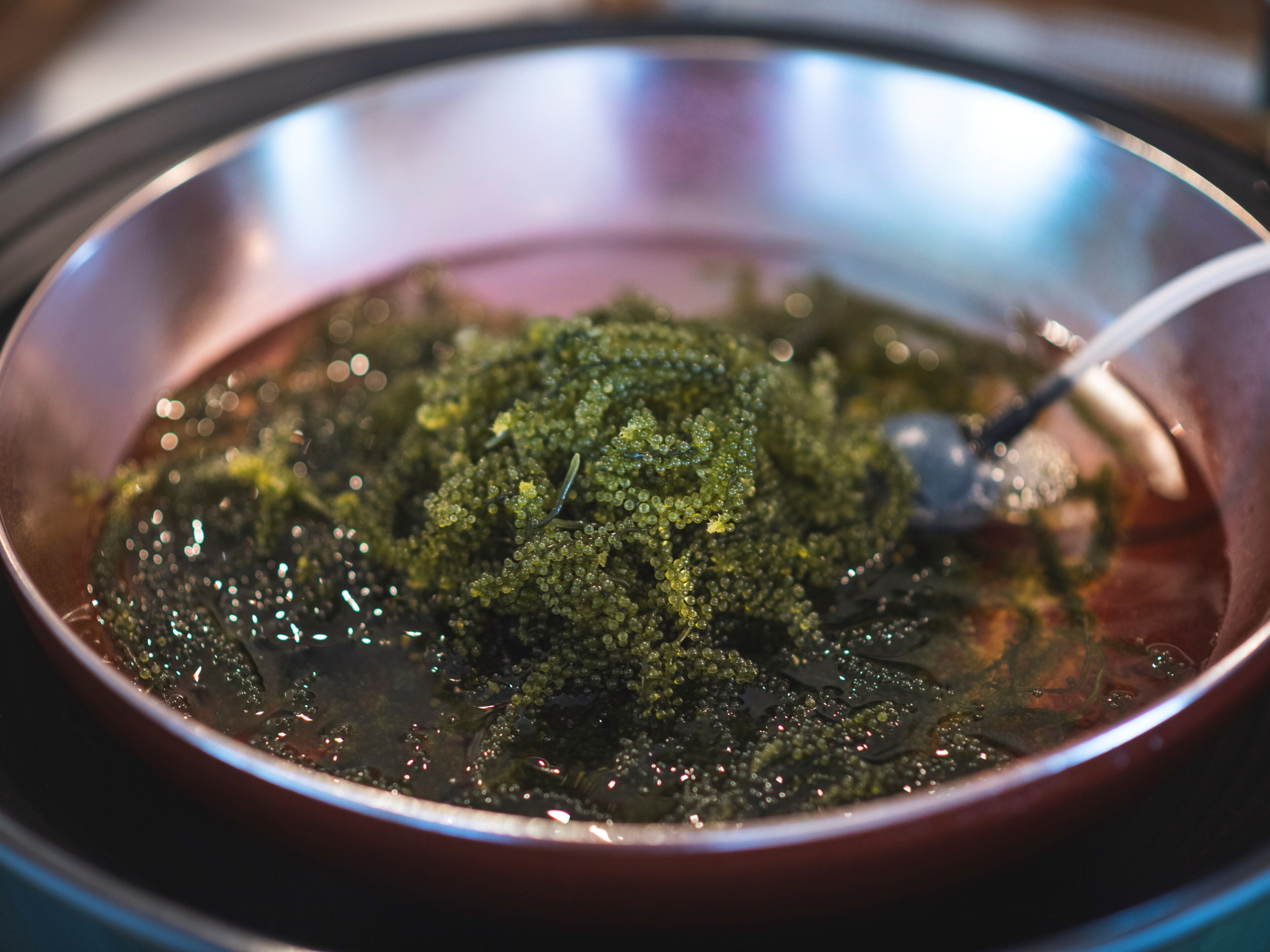 A close-up of a bowl containing a dark green, textured substance with a spoon.