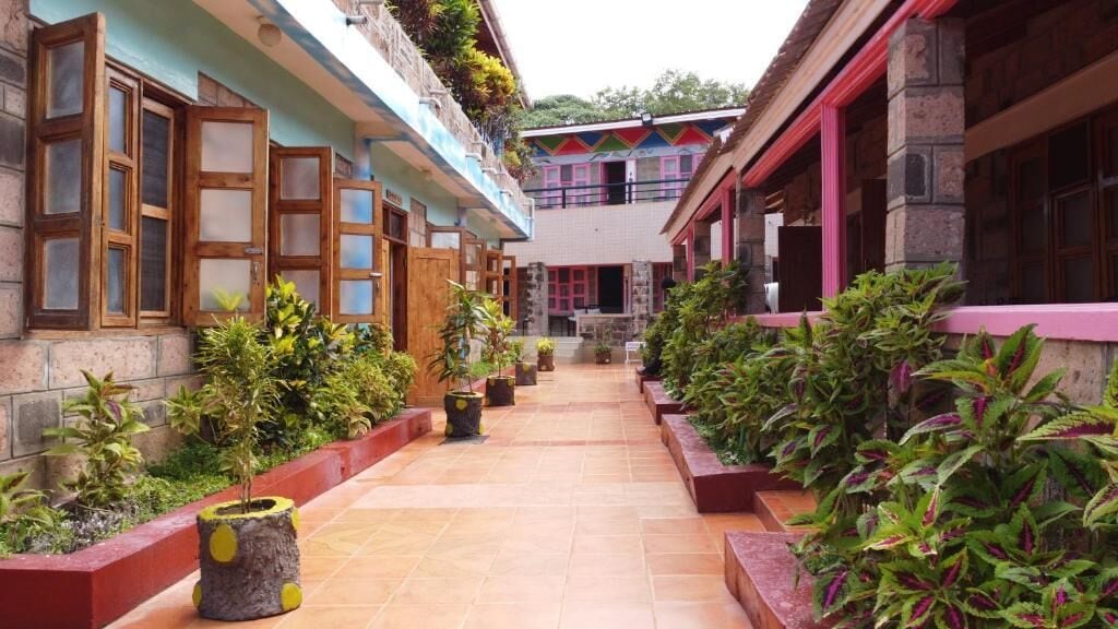 A corridor with potted plants and a stone wall.
