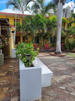 Comfort Studio Suite | Terrace/patio - Hotel alcatraz (Comondu)