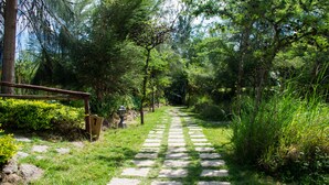 Un sendero de piedra atraviesa un jardín exuberante con una valla de madera a un lado.