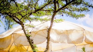Un área de comedor al aire libre con una mesa y sillas bajo un paraguas grande.