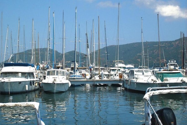 A marina with multiple sailboats docked.