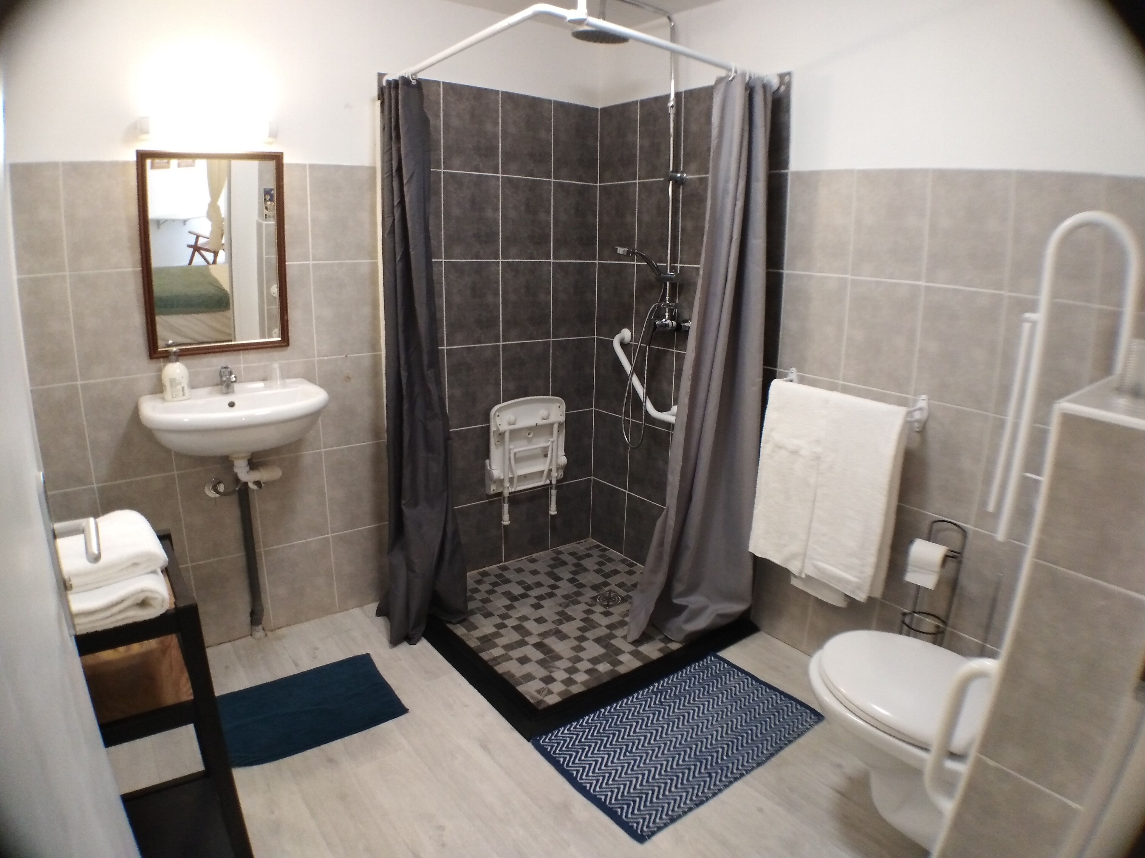 double room (ground floor) | bathroom shower