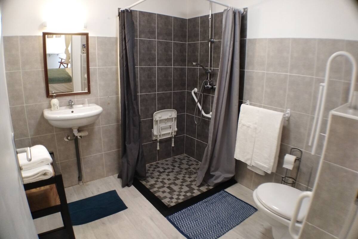 double room (ground floor) | bathroom shower